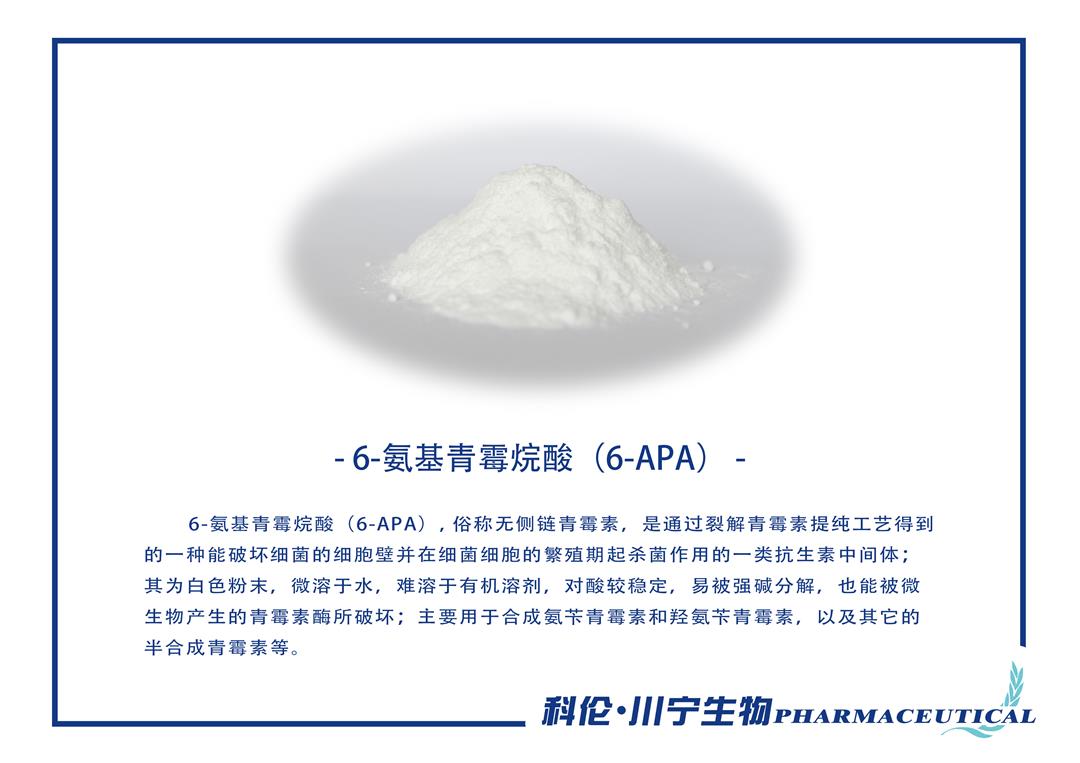 6-氨基青霉烷酸（6-APA）